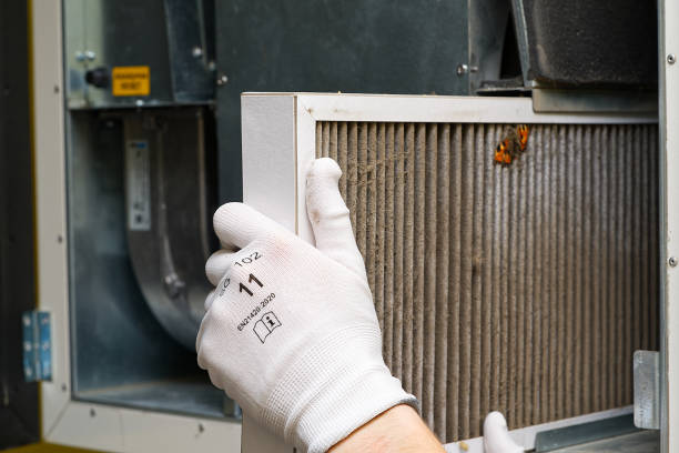 Best Duct Cleaning for Homes  in Bradfordville, FL